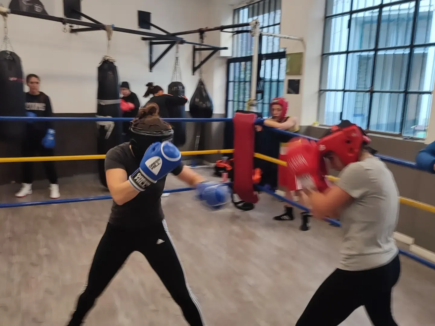 La palestra di BSA Boxing Team in Via dei Mille a Pavia